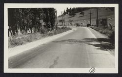 Curve along an unidentified road in Sonoma County