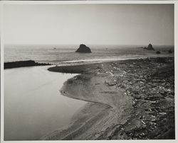 Logs and debris along the beach where the Russian River meets the sea