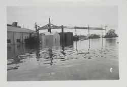 Flood waters surrounding the Barlow Company on McKinley Street, Sebastopol