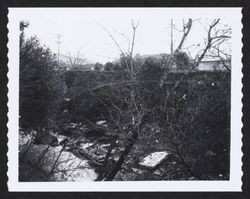 South bank of Spring Creek flood damage east of 2445 Brookside