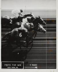 Finish photo for win at the Sonoma County Fair, Santa Rosa, California, July 23, 1969