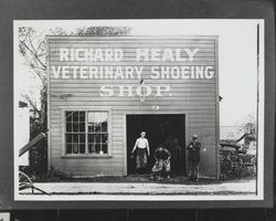 Richard Healy Veterinary Shoeing Shop, Petaluma