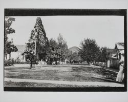 Residential street in Healdsburg