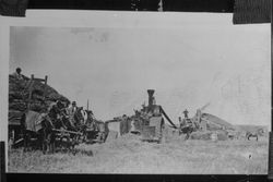 Harvesting hay, Sonoma County, California, about 1930