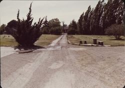 Chapel of the Chimes Cemetery