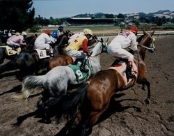 Horses and jockeys moving into position after leaving the gates at the Sonoma County Fair Racetrack, Santa Rosa, California