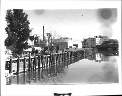 Looking south from Washington Street bridge, Petaluma, California, 1953