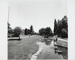 Juilliard Park, Santa Rosa, California, 1964