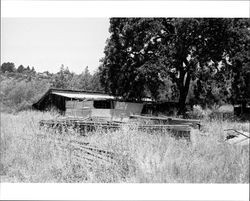 Remains of outbuildings located at 1480 Los Olivos Road, Santa Rosa, California, 1987