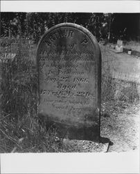 Gravesite of Arthur P. Thompson in Cypress Hill Cemetery, Petaluma, California, 1969