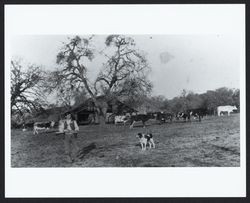 Henry Miller near barns on Miller Ranch