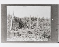 Hop pickers in the field