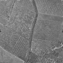 Foss Creek and orchards west of Onorato Road--aerial views