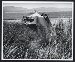 Tents on the beach at Doran Park