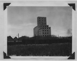 Poultry Producers of Central California, Petaluma feed mill under construction, 1938