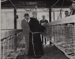 Father Boeddeker conducts tour at St. Anthony's Farm, 11207 Valley Ford Road, Petaluma, California