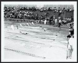 Swim meet at the Santa Rosa Swim Center, Santa Rosa, California, 1963