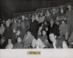 Spectators at the Petaluma Leghorn game against Oakland Owls