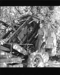 Florian F. Dauenhauer on Thys Portable Hop Harvester, California, 1968