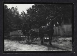 Mailman making his deliveries by horse and carriage, Petaluma, California, 1910