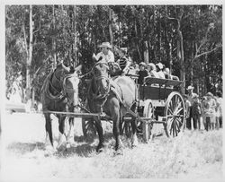 Hay rides at the Old Adobe Fiesta, Petaluma, California, 1963-1966