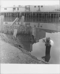 Warehouse reflected in Petaluma River, Petaluma, California, about 1982