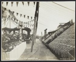 Gravenstein Apple Show, Sebastopol, 1911