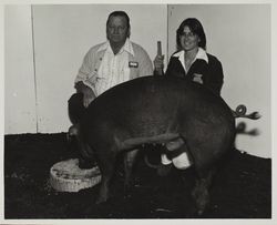 Becky Shere with her hog at the Sonoma County Fair, Santa Rosa, California, 1978