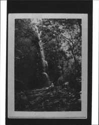 Whitney Falls, Sonoma Mountain, Calif