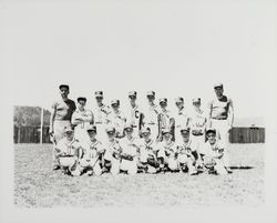 Cards, a Rincon Valley Little League team, Santa Rosa, California, 1962