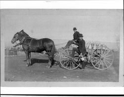 Petaluma Dairy wagon full of milk, Petaluma, California, about 1910