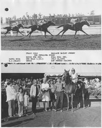 Frans Gold winning the Petaluma Purse, Santa Rosa, California, July 15, 1970