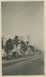 Main Street before the palm trees were removed, Petaluma, California, 1926