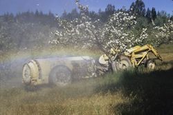 Alan Benelli spraying the orchard at 1293 Hurlbut Ave., Sebastopol, Calif., June 1974