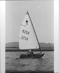 Sailboat race on the Petaluma River on July 28, 1973