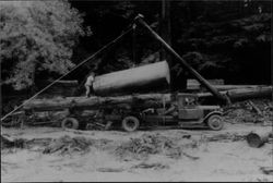 G.M.C. logging truck of Humbert Franceschi