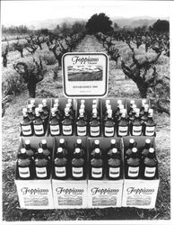 Bottle of Foppiano Vineyards wine sitting in a vineyard, Healdsburg, California, about 1986