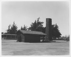 Sonoma County Fairgrounds' redwood tree stump