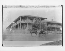 Horse and carriage in front of Old Adobe, Petaluma, California, 1904