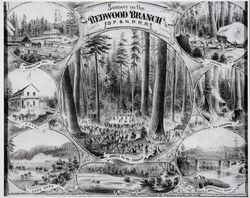 Scenery on the Redwood Branch of the S. F. & N. P. R. R., Sonoma Co, California, November 30, 1834