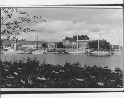 Petaluma Creek, Petaluma, California, Petaluma, California, 1978