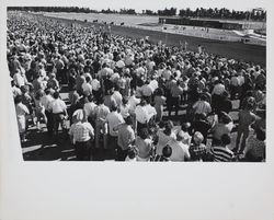 Under the grandstand crowd at the races at the Sonoma County Fair Racetrack, Santa Rosa, California