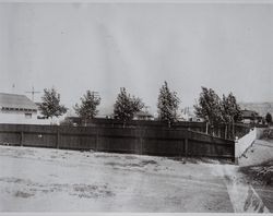 Backyard of the Octavius and Emma Wood home in Petaluma, California, about 1910