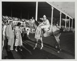 Unidentified winner of a horse race at the Fairgrounds, Santa Rosa