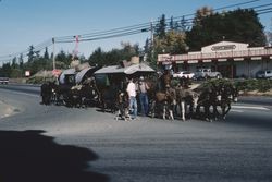 John Stiles leaving camp at Handy's Corner and heading for Sebastopol, Nov. 1990