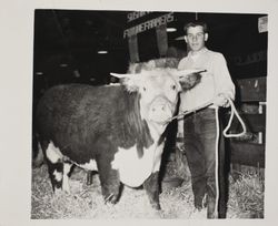 Sonoma County Fair, Santa Rosa, California