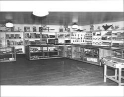 Hobby department of Tomasini Hardware stores, Petaluma, California in 1947