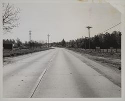 Highway 101 (Old Redwood Highway), south of Cotati, California, March 27, 1954