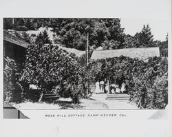 Rose Hill Cottage, Camp Meeker, California