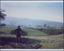 View of the Treadwell-Callison Ranch, Calistoga Road, Santa Rosa, California, 1970s